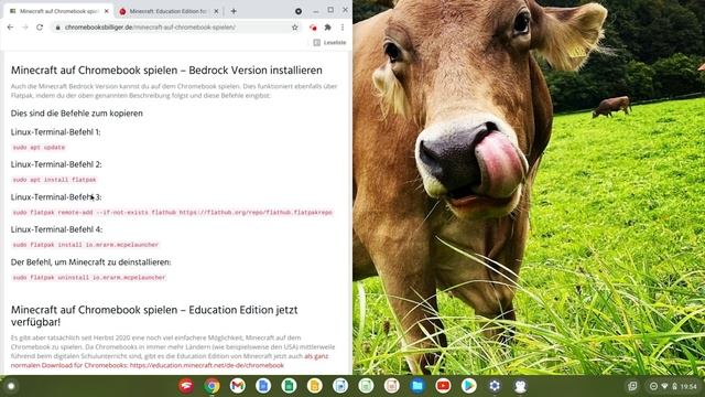 Minecraft auf Chromebook spielen | Java Edition, Bedrock Edition + Education Edition | Deutsch 2021 смотреть онлайн