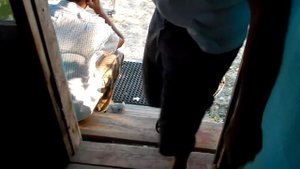 Сентябрь 2016, Селитренное, Рыбалка и отдых на базе Ахтуба клуб