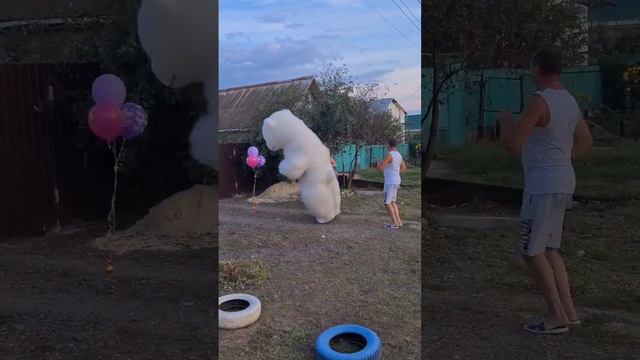Мужчина решил оригинально поздравить жену 🔥🔥🔥 в этом ему помог... #белыймедведь #медведьволжский