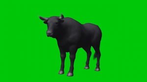 ПРИКОЛЬНЫЕ ФУТАЖИ ДЛЯ ВИДЕО / СКАЧАТЬ ФУТАЖИ