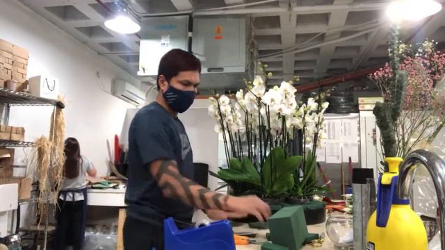 Live how to make elegant white orchid смотреть онлайн