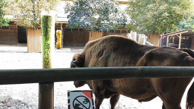 КУДА МОЖНО ПОЕХАТЬ В КИЕВЕ? 🌐 смотреть онлайн