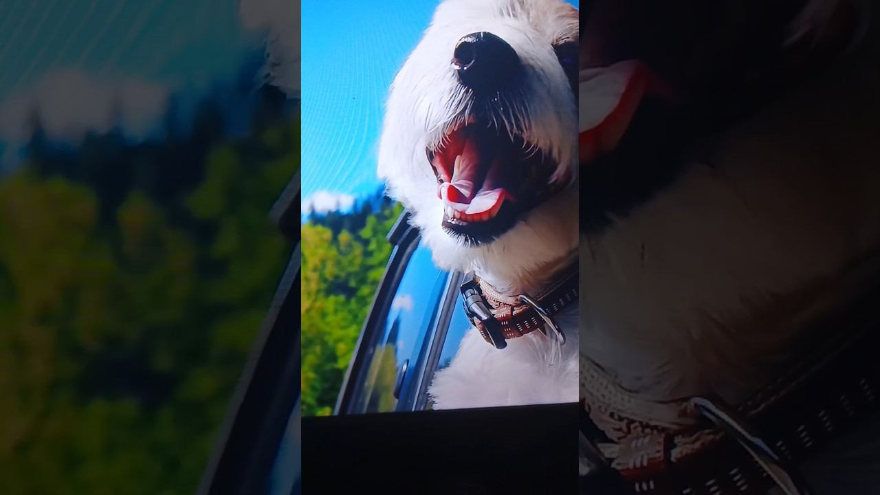 #начиле