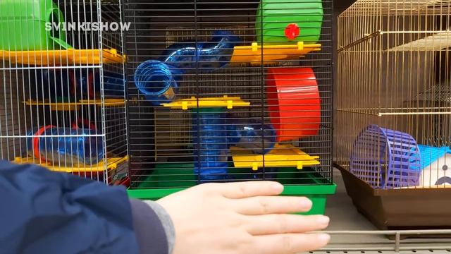 ЗООМАГАЗИН и ЗООПОКУПКИ для наших морских свинок SvinkiShow смотреть онлайн