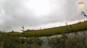 (18 ) УТКИ БЫЛО МНОГО - НО. (Охота на утку) № - 10 (Осень 2017).mp4