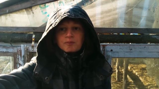 Семейный VLOG #9: Иерархия в семье. Кто главный? смотреть онлайн