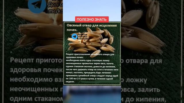 овсяной отвар для исцеления почек #народнаямедицина #полезныесоветы #медицина #здоровье #зож