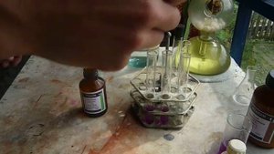 Отличительные свойства муравьиной от уксусной кислоты