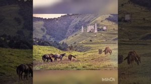 Ингушские мелодии (3)