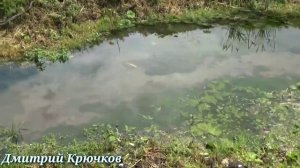 Классная РЫБАЛКА и ОТДЫХ на частных прудах станицы Чернореченская Краснодарский край Лабинский район