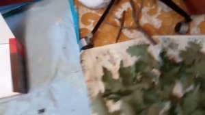 Листья деревьев в аквариум!!! Заготовка, сушка, хранение.