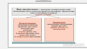 Имя Числительное. 7 класс