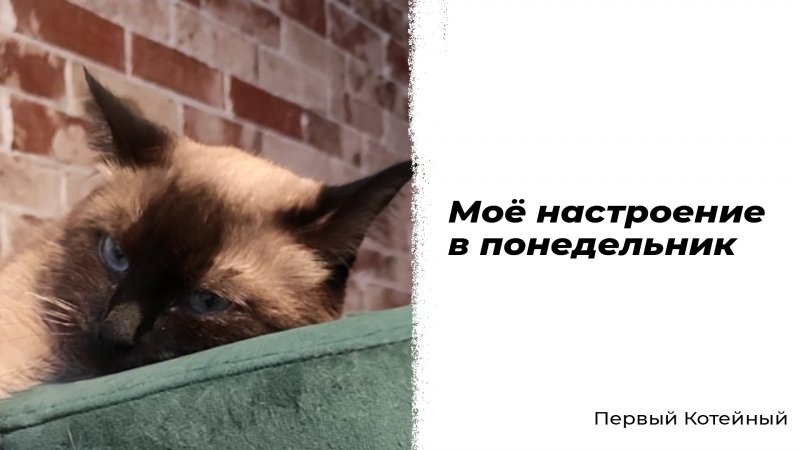 Моё настроение в понедельник ?