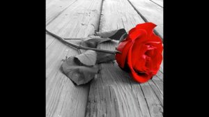 მერაბ კაშია   ოპა ოპა