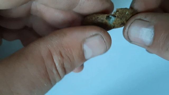 Маточное молочко 2021