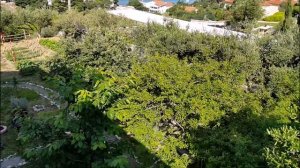 Музыка для беговой дорожки