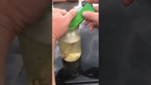 WHIEDA, Низкомолекулярный соевый пептид , результат с рыбкой #пептиды #казахстан #костанай