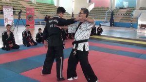 موجز الندوة التدريبية في فن هابكيدو غلوبال -  Summary of the Global Hapkido Art Training Seminar