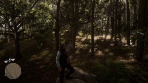 Proper Way To Hunt Perfect Panther - RDR2