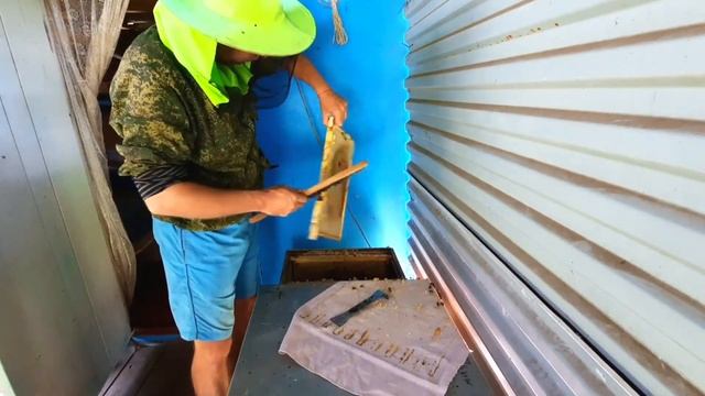 Медок созрел пора отбирать? смотреть онлайн