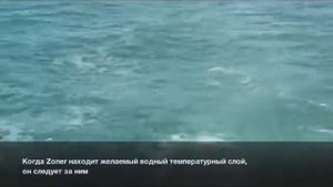 Заглубитель Zoner