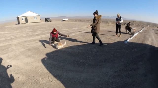 ALTYN EMEL. Национальный парк Алтын Эмель. Приключения. Поющий Бархан. Джип трип по Казахстану смотреть онлайн