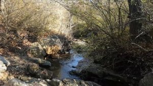 Исток Днепра