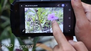 DOOGEE S60 4G Smartphone IP68 Waterproof Review and Best Price