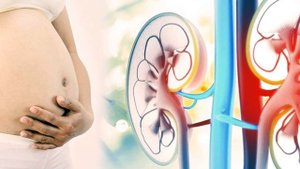 БЕЛОК В МОЧЕ ВО ВРЕМЯ БЕРЕМЕННОСТИ | Что означает белок в моче во время беременности