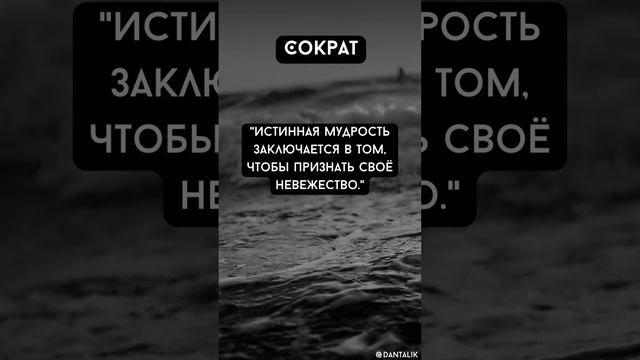 Цитаты - Сократ  #shorts #short #shortvideo #вдохновение #мотивация #сократ