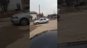 Туй дар автабази куйбеш