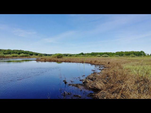 Классная рыбалка на ручье. Спиннинг, поплавок. :-) #NIK_72 смотреть онлайн