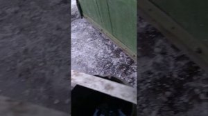 Горелка на Бензине 1976 года