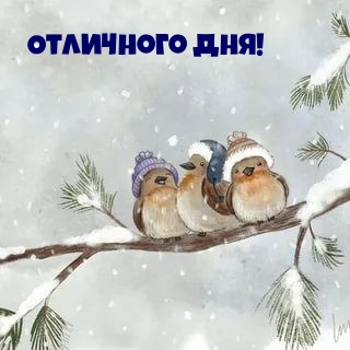 Добрый день, хорошего денечка!