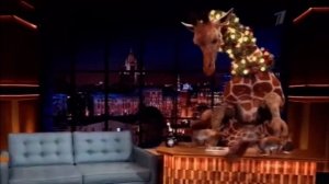 Зимняя пред новогодняя заставка первого канала (2020-2021 #4 жираф и белки в студии Иван ургант)