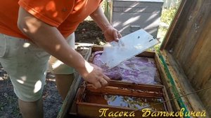 Подготовка пчел к зиме. Закорм пчел в зиму. Даём гфс 42