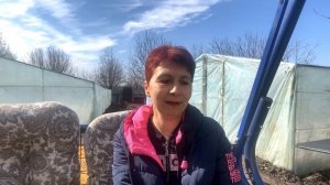 Как не купить подделку  ?  Какой гибрид подсолнечника садим мы  в этом году