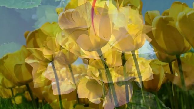 Довайте сохраним природу! смотреть онлайн