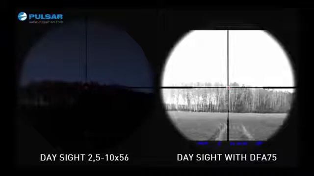 Pulsar DFA Daysight Comparison смотреть онлайн