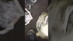 Разбор кпп (Робот) тойота королла\аурис. Часть 2.