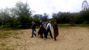 Асти сдает тестирование. Оценка Т1