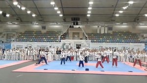 тхэквондо показательное выступление