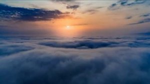 Sonidos de la Naturaleza para Relajarse y Dormir ? Bosque Otoñal con Pájaros Piando ?