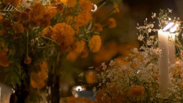 From Samhain to soul cakes: A look at the origins of Halloween смотреть онлайн