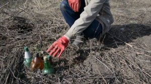 Хрен на огороде, как убрать  Эффективно устраняем хрен