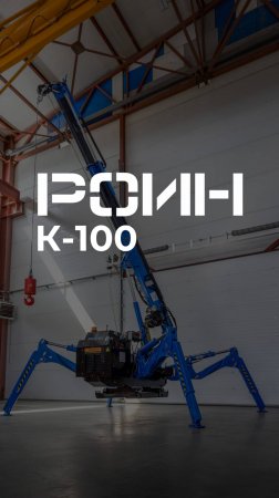 РОИН К-100