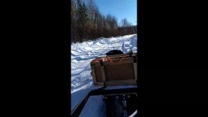 Передвижение на мотособаке 15 лошадиных сил. мотор Лифан .