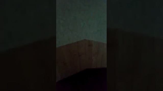 Обзор Жар-птицы от гостя. Отдых в Белокурихе. смотреть онлайн