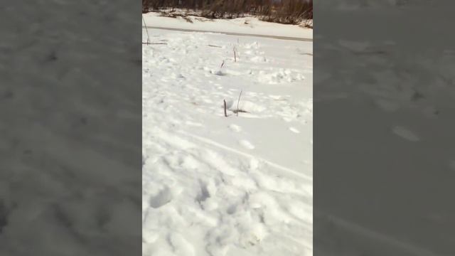 продолжение рыбалка на сига весной смотреть онлайн