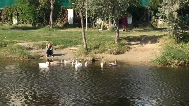 г.Анапа Парк «Книга Джунглей» Центральный пляж. Какое сегодня море